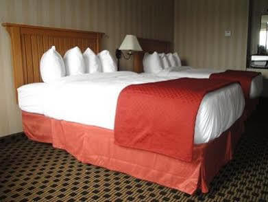 Quality Hotel
